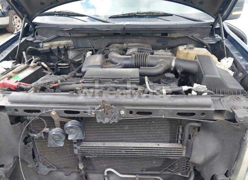 Photo 10 of 2010 Ford F-150 FX2 SPORT/HARLEY-DAVIDSON/KING RANCH/LARIAT/PLATINUM/XL/XLT (VIN 1FTFW1CV1AFA26448)