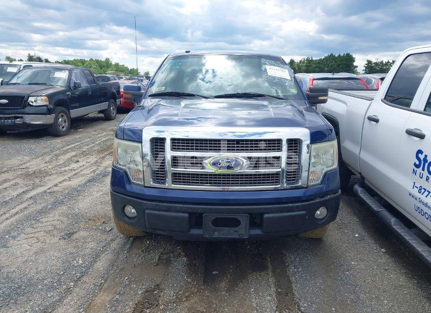 Photo 12 of 2010 Ford F-150 FX2 SPORT/HARLEY-DAVIDSON/KING RANCH/LARIAT/PLATINUM/XL/XLT (VIN 1FTFW1CV1AFA26448)