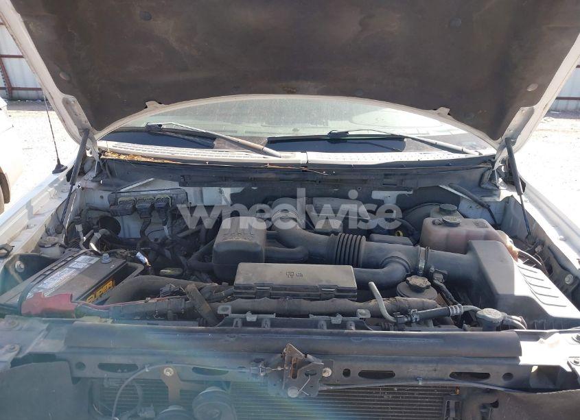 Photo 10 of 2010 Ford F-150 FX2 SPORT/HARLEY-DAVIDSON/KING RANCH/LARIAT/PLATINUM/XL/XLT (VIN 1FTFW1CV1AFB62515)