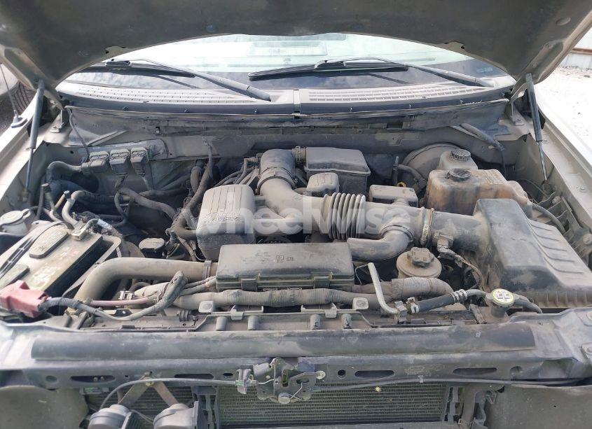 Photo 10 of 2010 Ford F-150 XLT (VIN 1FTFW1CV1AKA57531)