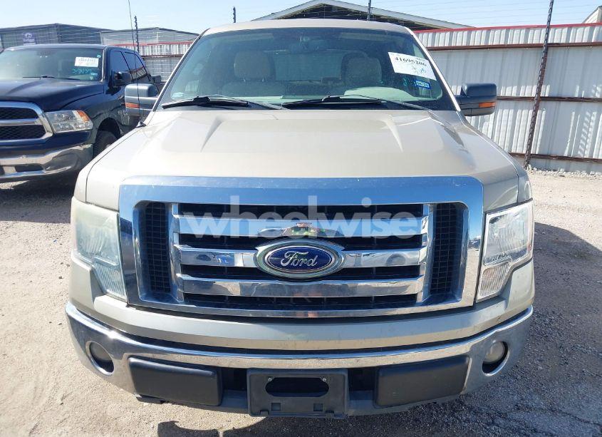 Photo 12 of 2010 Ford F-150 XLT (VIN 1FTFW1CV1AKA57531)