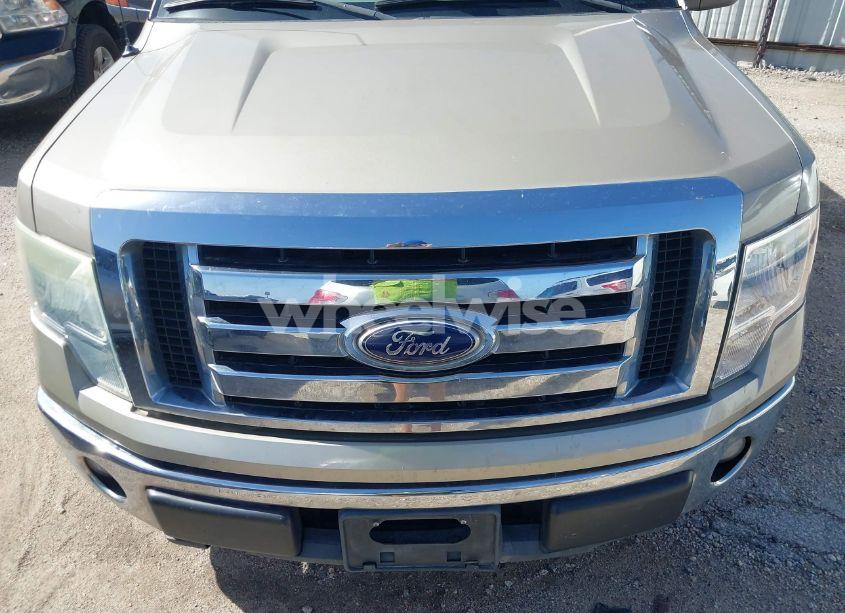 Photo 6 of 2010 Ford F-150 XLT (VIN 1FTFW1CV1AKA57531)