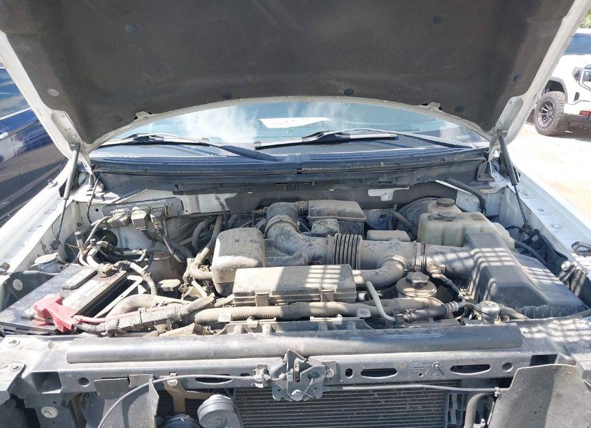 Photo 10 of 2010 Ford F-150 PLATINUM (VIN 1FTFW1CV3AFD78592)