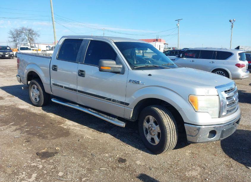 2010 Ford F-150 XLT (VIN 1FTFW1CV3AKB68954) main photo