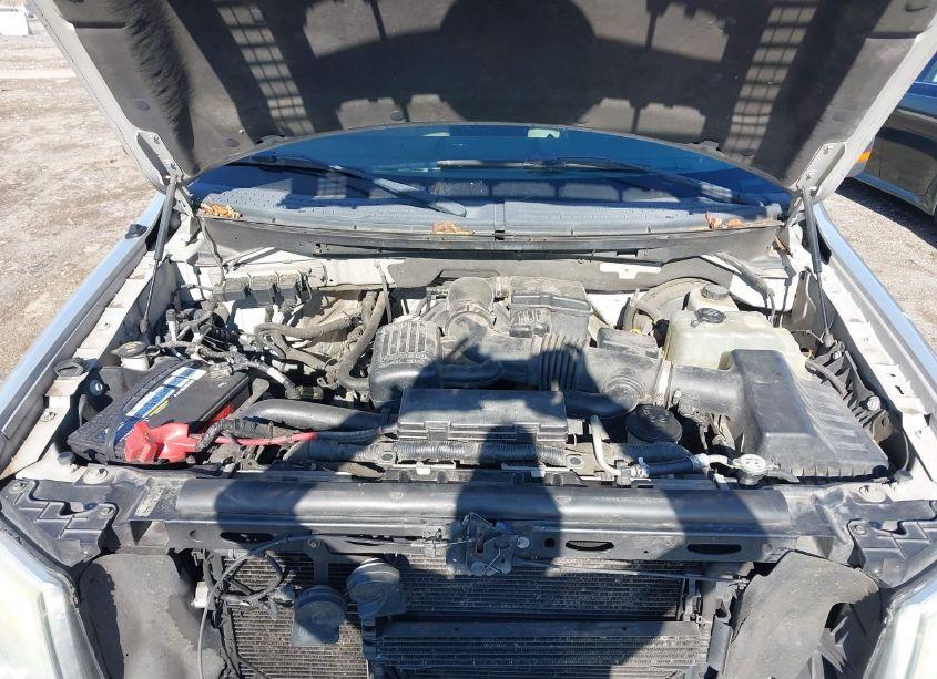 Photo 10 of 2010 Ford F-150 XLT (VIN 1FTFW1CV3AKB68954)