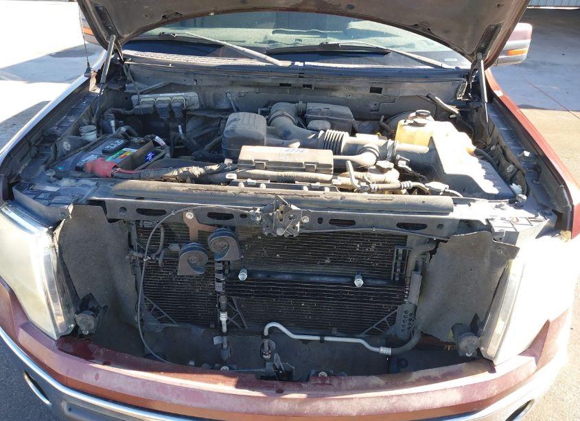 Photo 10 of 2010 Ford F-150 FX2 SPORT/HARLEY-DAVIDSON/KING RANCH/LARIAT/PLATINUM/XL/XLT (VIN 1FTFW1CV4AFB92561)