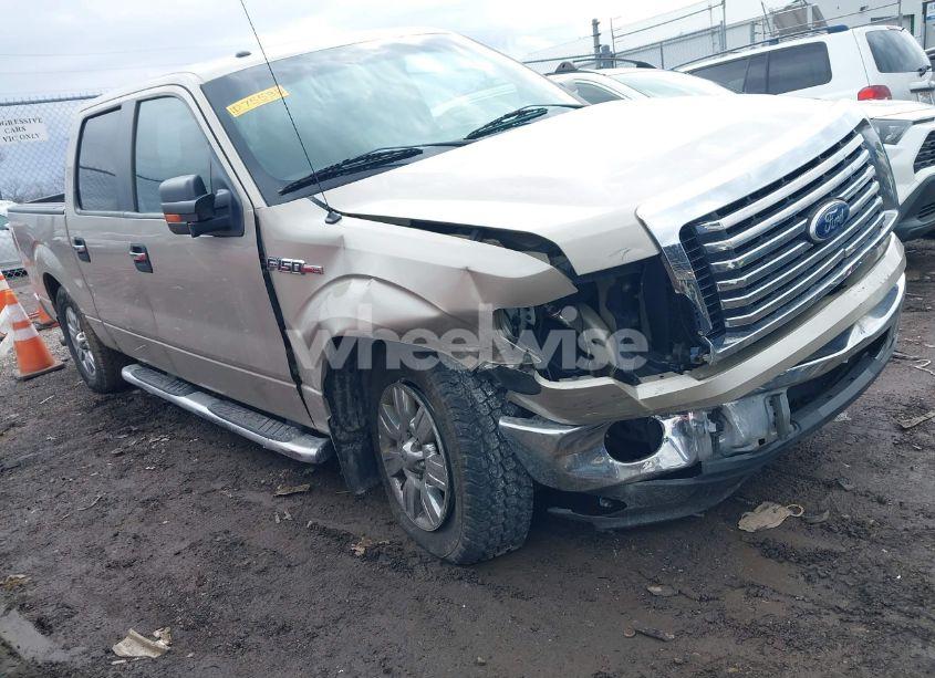 2010 Ford F-150 (VIN 1FTFW1CV4AFD75538) main photo