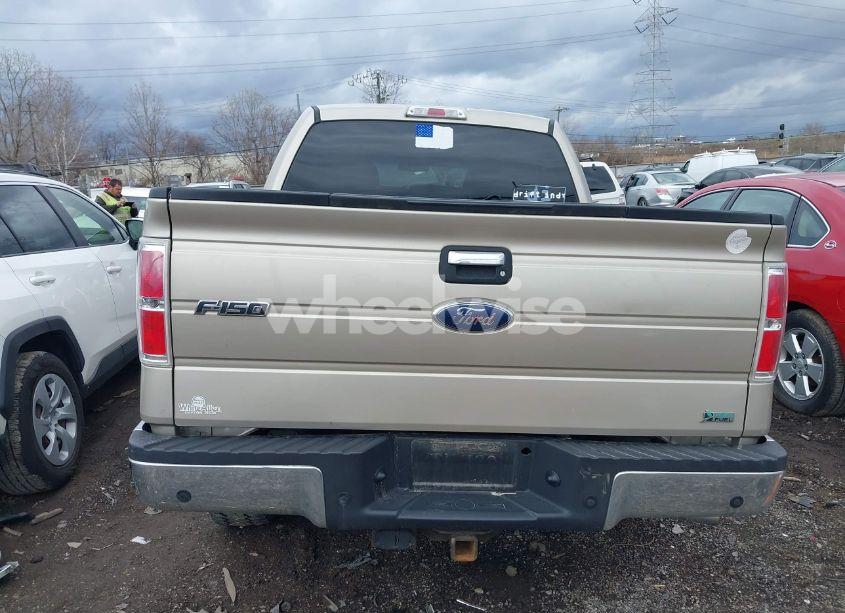 Photo 16 of 2010 Ford F-150 (VIN 1FTFW1CV4AFD75538)