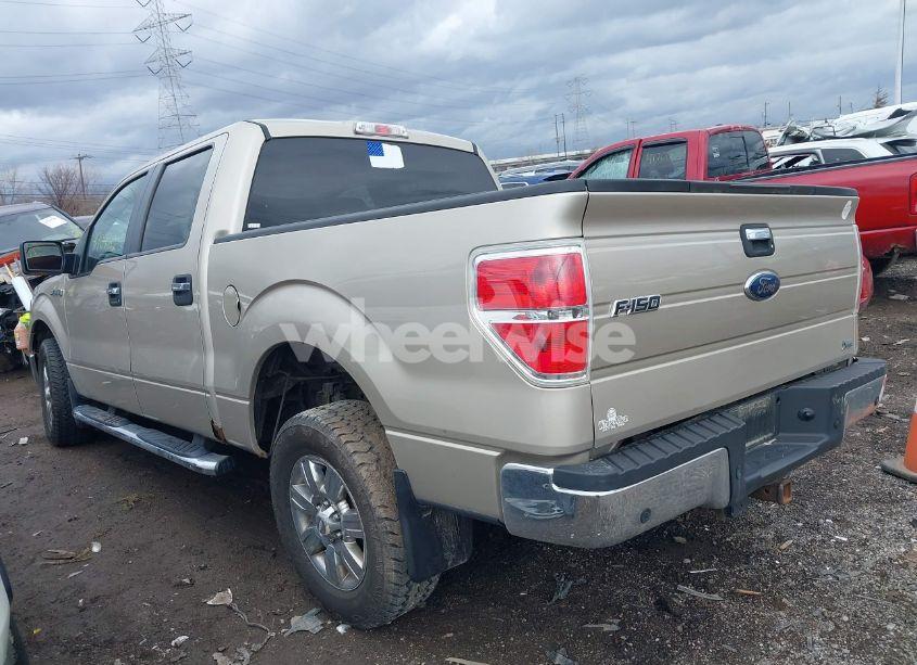 Photo 3 of 2010 Ford F-150 (VIN 1FTFW1CV4AFD75538)