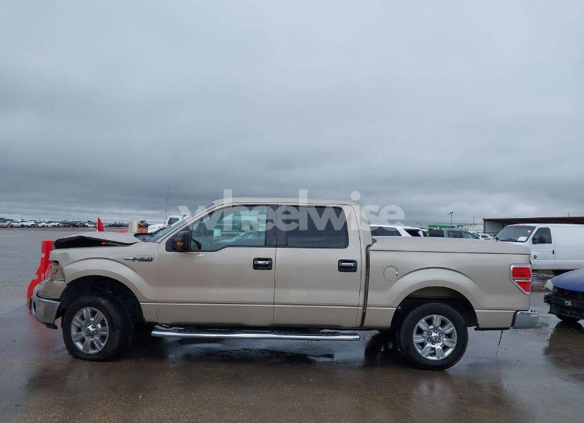 Photo 15 of 2010 Ford F-150 FX2 SPORT/HARLEY-DAVIDSON/KING RANCH/LARIAT/PLATINUM/XL/XLT (VIN 1FTFW1CV4AFD86538)