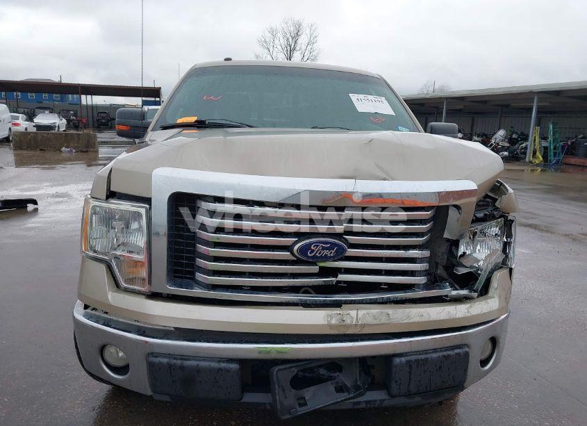 Photo 6 of 2010 Ford F-150 FX2 SPORT/HARLEY-DAVIDSON/KING RANCH/LARIAT/PLATINUM/XL/XLT (VIN 1FTFW1CV4AFD86538)