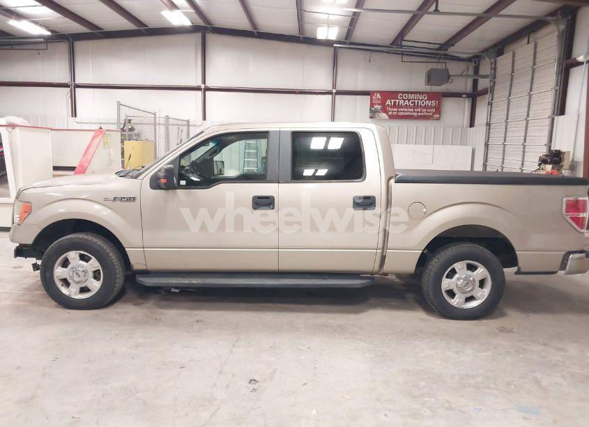 Photo 15 of 2010 Ford F-150 FX2 SPORT/HARLEY-DAVIDSON/KING RANCH/LARIAT/PLATINUM/XL/XLT (VIN 1FTFW1CV4AKA38164)