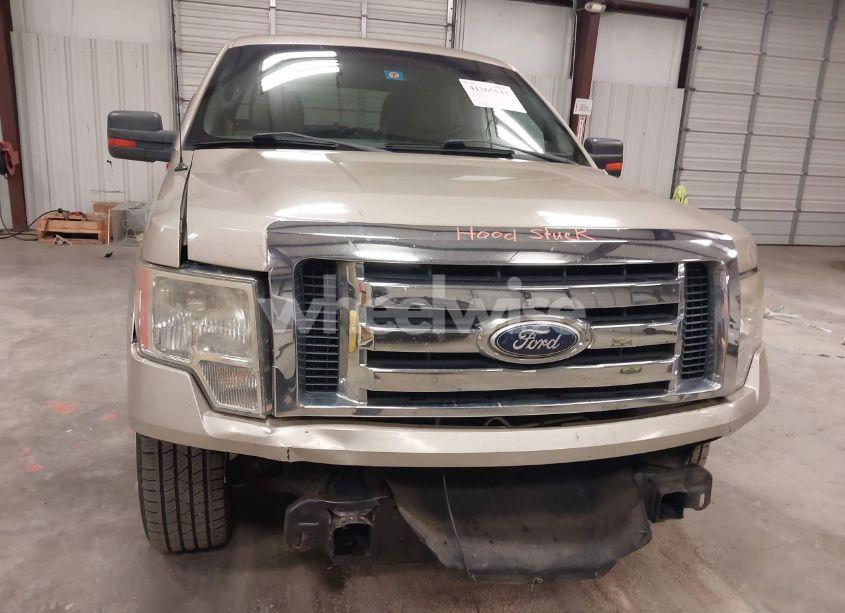 Photo 19 of 2010 Ford F-150 FX2 SPORT/HARLEY-DAVIDSON/KING RANCH/LARIAT/PLATINUM/XL/XLT (VIN 1FTFW1CV4AKA38164)