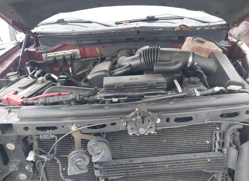 Photo 10 of 2010 Ford F-150 FX2 SPORT/HARLEY-DAVIDSON/KING RANCH/LARIAT/PLATINUM/XL/XLT (VIN 1FTFW1CV4AKA57619)