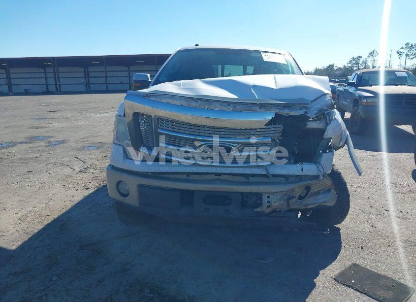 Photo 12 of 2010 Ford F-150 FX2 SPORT/HARLEY-DAVIDSON/KING RANCH/LARIAT/PLATINUM/XL/XLT (VIN 1FTFW1CV5AKA75756)