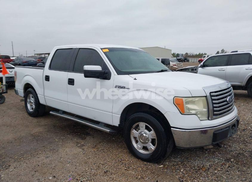 2010 Ford F-150 XLT (VIN 1FTFW1CV6AFC72007) main photo