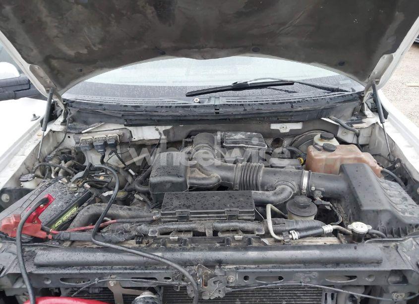 Photo 10 of 2010 Ford F-150 XLT (VIN 1FTFW1CV6AFC72007)