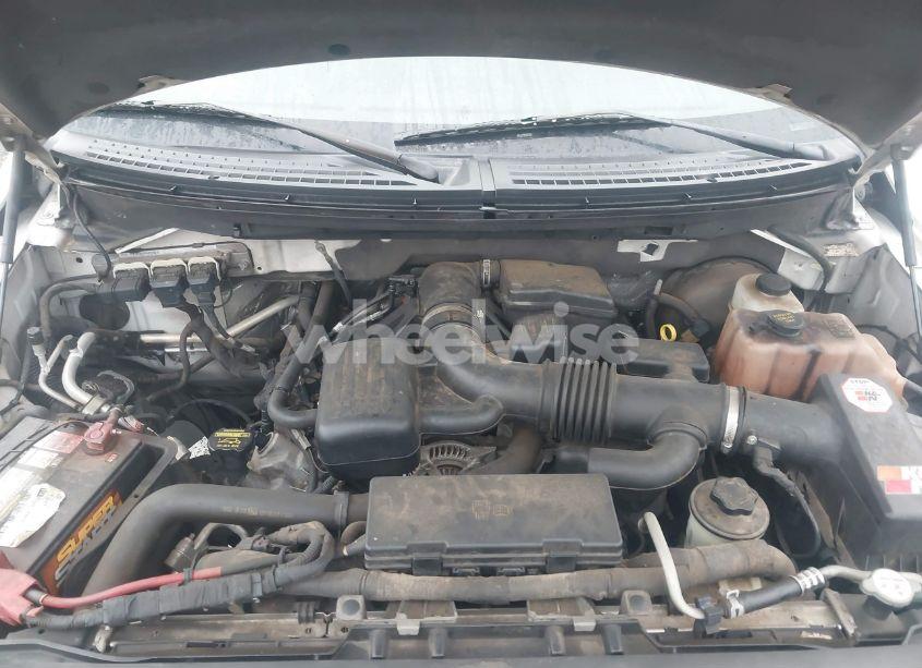 Photo 10 of 2010 Ford F-150 FX2 SPORT/HARLEY-DAVIDSON/KING RANCH/LARIAT/PLATINUM/XL/XLT (VIN 1FTFW1CV6AFD29595)