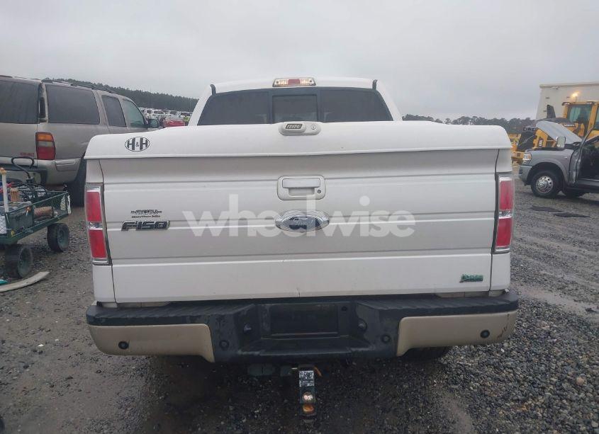 Photo 16 of 2010 Ford F-150 FX2 SPORT/HARLEY-DAVIDSON/KING RANCH/LARIAT/PLATINUM/XL/XLT (VIN 1FTFW1CV6AFD29595)