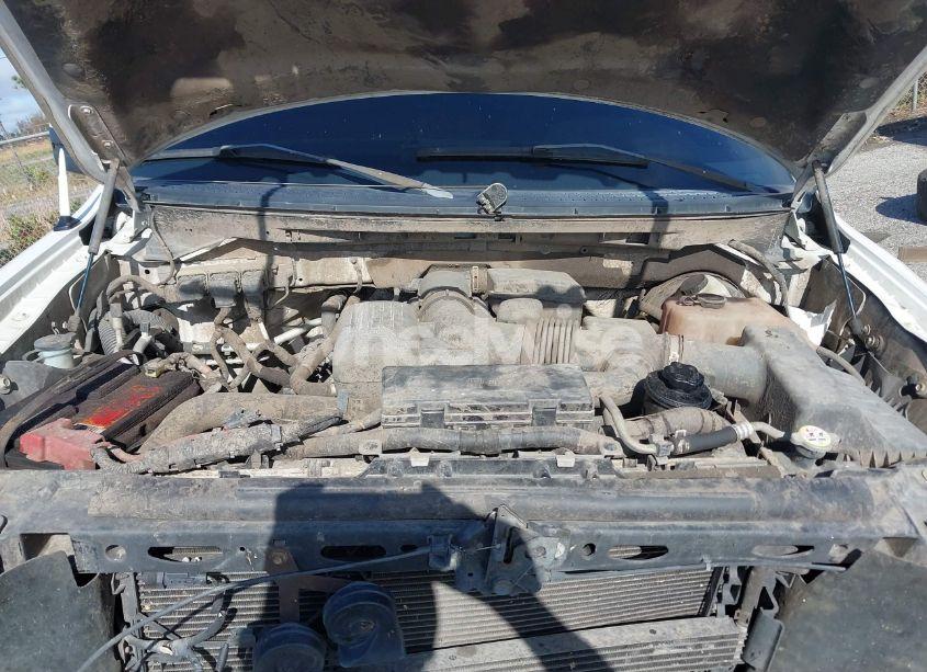 Photo 10 of 2010 Ford F-150 FX2 SPORT/HARLEY-DAVIDSON/KING RANCH/LARIAT/PLATINUM/XL/XLT (VIN 1FTFW1CV7AFB18678)