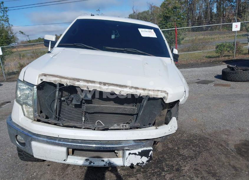 Photo 6 of 2010 Ford F-150 FX2 SPORT/HARLEY-DAVIDSON/KING RANCH/LARIAT/PLATINUM/XL/XLT (VIN 1FTFW1CV7AFB18678)