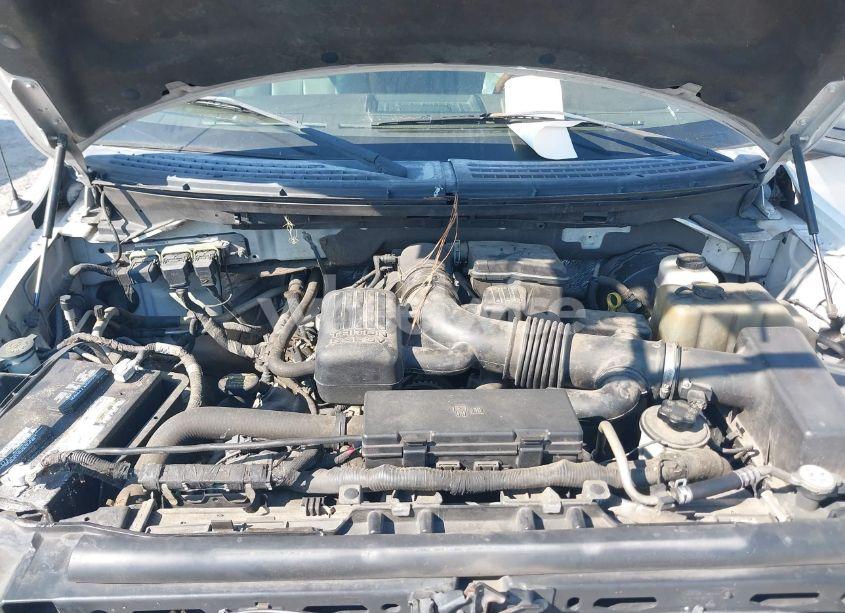 Photo 10 of 2010 Ford F-150 FX2 SPORT/HARLEY-DAVIDSON/KING RANCH/LARIAT/PLATINUM/XL/XLT (VIN 1FTFW1CV7AFC60528)