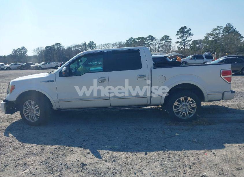 Photo 14 of 2010 Ford F-150 FX2 SPORT/HARLEY-DAVIDSON/KING RANCH/LARIAT/PLATINUM/XL/XLT (VIN 1FTFW1CV7AFC60528)