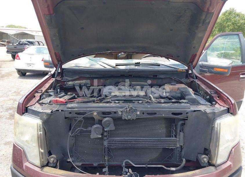 Photo 10 of 2010 Ford F-150 FX2 SPORT/HARLEY-DAVIDSON/KING RANCH/LARIAT/PLATINUM/XL/XLT (VIN 1FTFW1CV7AKA39101)