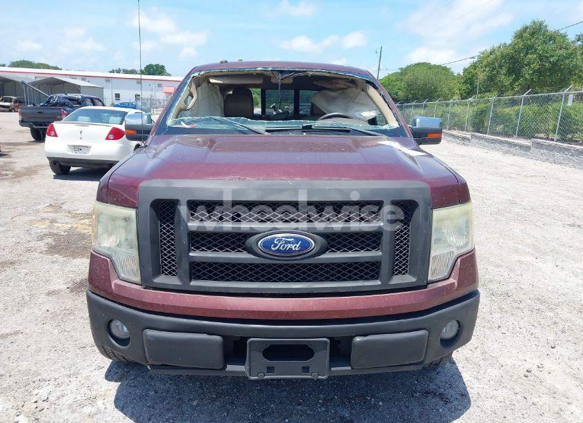 Photo 13 of 2010 Ford F-150 FX2 SPORT/HARLEY-DAVIDSON/KING RANCH/LARIAT/PLATINUM/XL/XLT (VIN 1FTFW1CV7AKA39101)