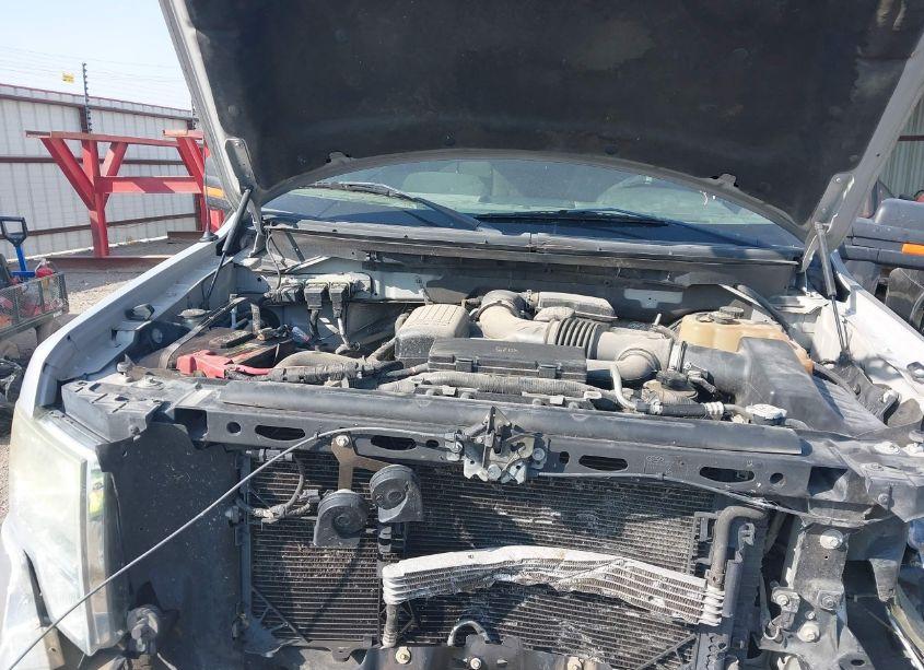 Photo 10 of 2010 Ford F-150 FX2 SPORT/HARLEY-DAVIDSON/KING RANCH/LARIAT/PLATINUM/XL/XLT (VIN 1FTFW1CV9AKB83801)