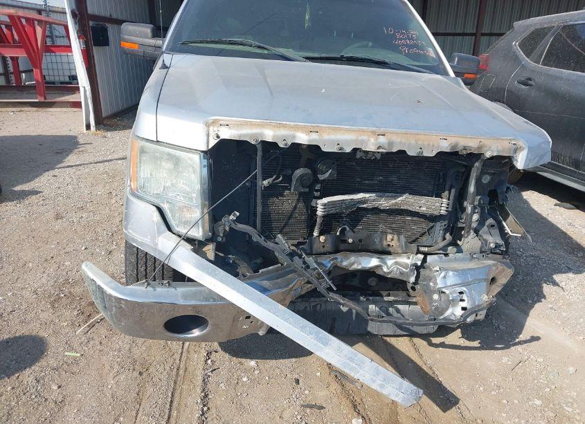 Photo 6 of 2010 Ford F-150 FX2 SPORT/HARLEY-DAVIDSON/KING RANCH/LARIAT/PLATINUM/XL/XLT (VIN 1FTFW1CV9AKB83801)