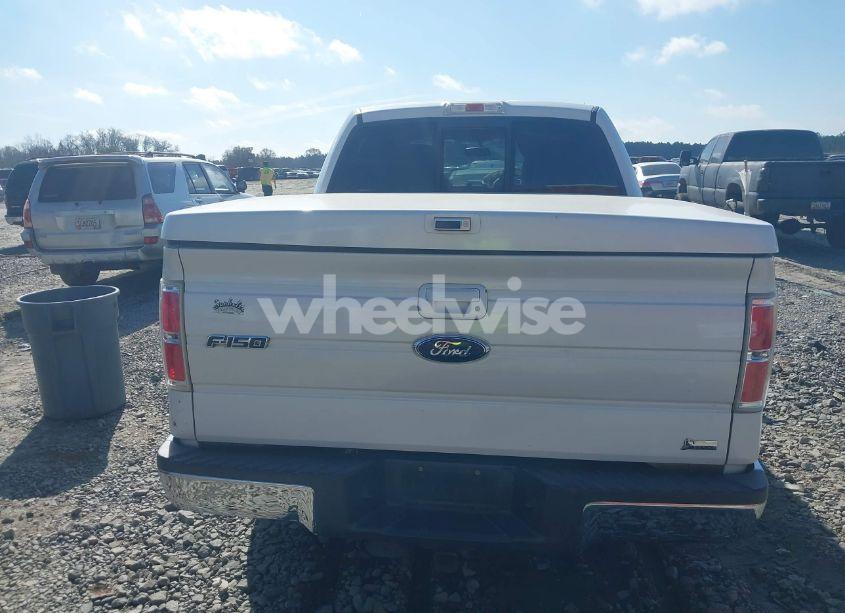 Photo 15 of 2010 Ford F-150 FX2 SPORT/HARLEY-DAVIDSON/KING RANCH/LARIAT/PLATINUM/XL/XLT (VIN 1FTFW1CVXAFD83398)