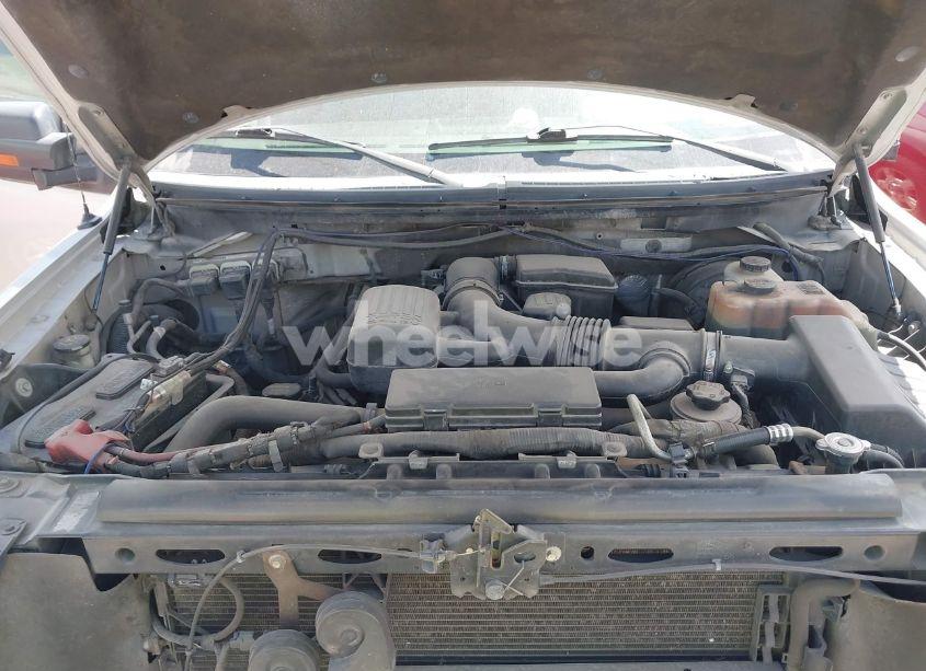 Photo 10 of 2010 Ford F-150 FX2 SPORT/HARLEY-DAVIDSON/KING RANCH/LARIAT/PLATINUM/XL/XLT (VIN 1FTFW1CVXAKC09905)