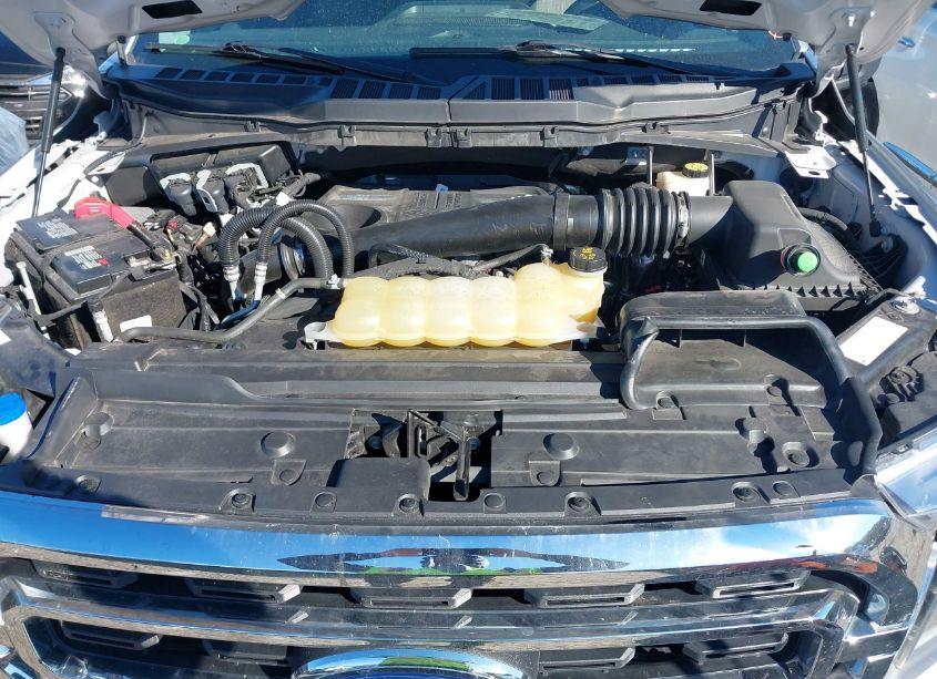 Photo 10 of 2021 Ford F-150 XLT (VIN 1FTFW1E18MFC01387)