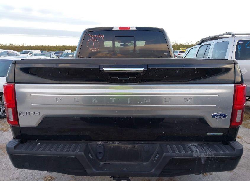 Photo 15 of 2019 Ford F-150 PLATINUM (VIN 1FTFW1E42KFA54457)