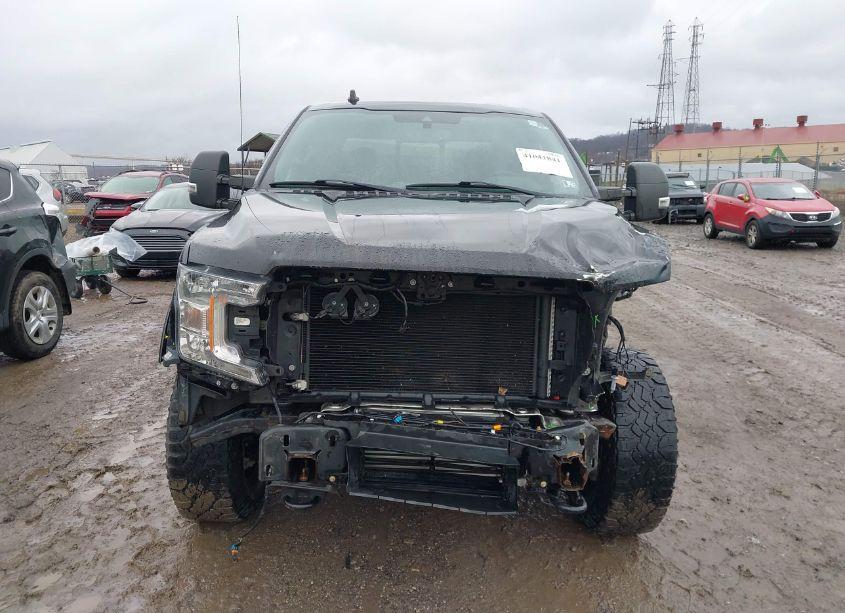 Photo 13 of 2019 Ford F-150 XLT (VIN 1FTFW1E45KFC43216)