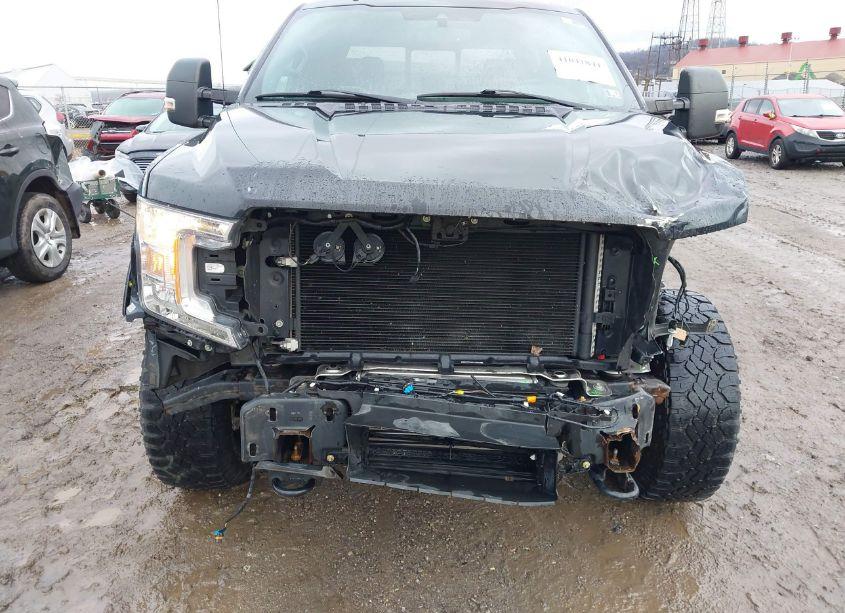 Photo 6 of 2019 Ford F-150 XLT (VIN 1FTFW1E45KFC43216)