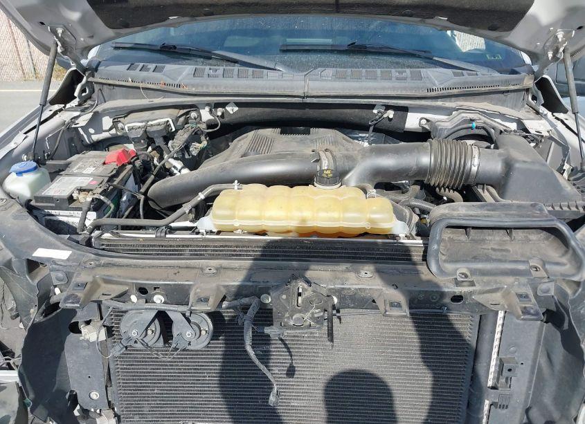 Photo 10 of 2019 Ford F-150 XLT (VIN 1FTFW1E45KKC69810)