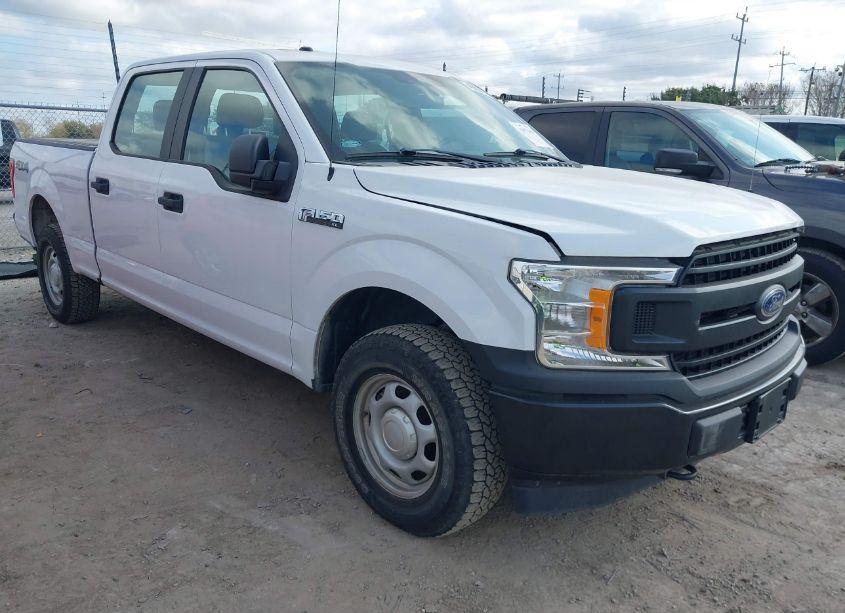 2019 Ford F-150 XL (VIN 1FTFW1E50KKD30926) main photo