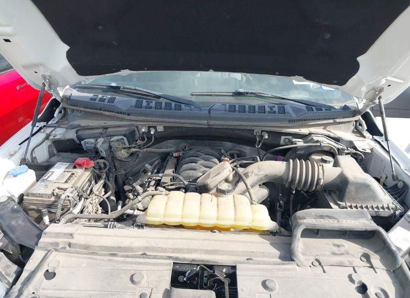 Photo 10 of 2019 Ford F-150 XL (VIN 1FTFW1E50KKD30926)