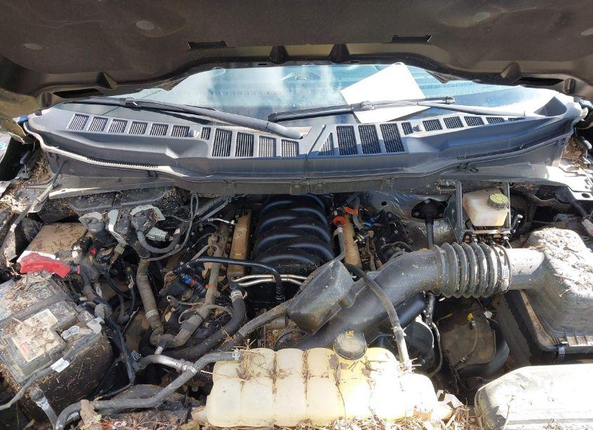 Photo 10 of 2022 Ford F-150 XLT (VIN 1FTFW1E51NFA52731)