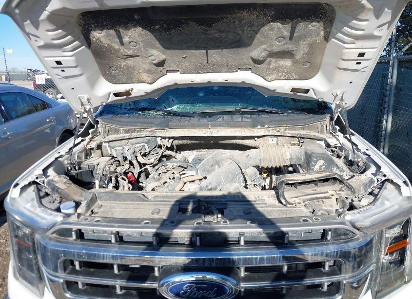 Photo 10 of 2023 Ford F-150 LARIAT (VIN 1FTFW1E51PFB07908)