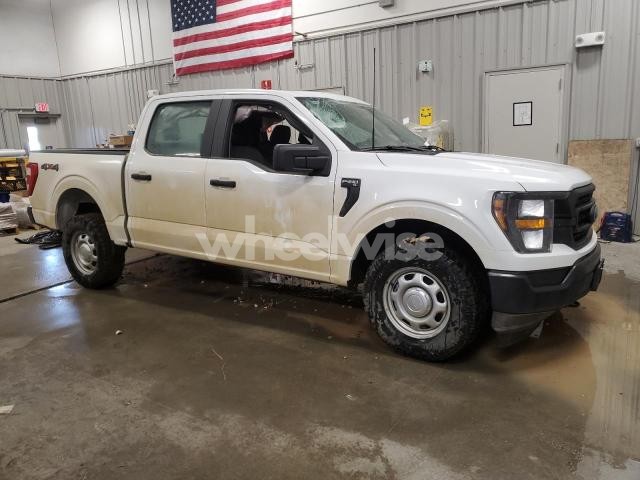 2023 FORD F150 SUPERCREW (VIN 1FTFW1E51PKF82014) main photo