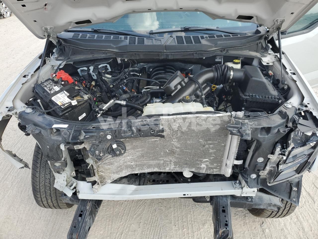 Photo 11 of 2023 FORD F150 SUPERCREW (VIN 1FTFW1E51PKG12659)