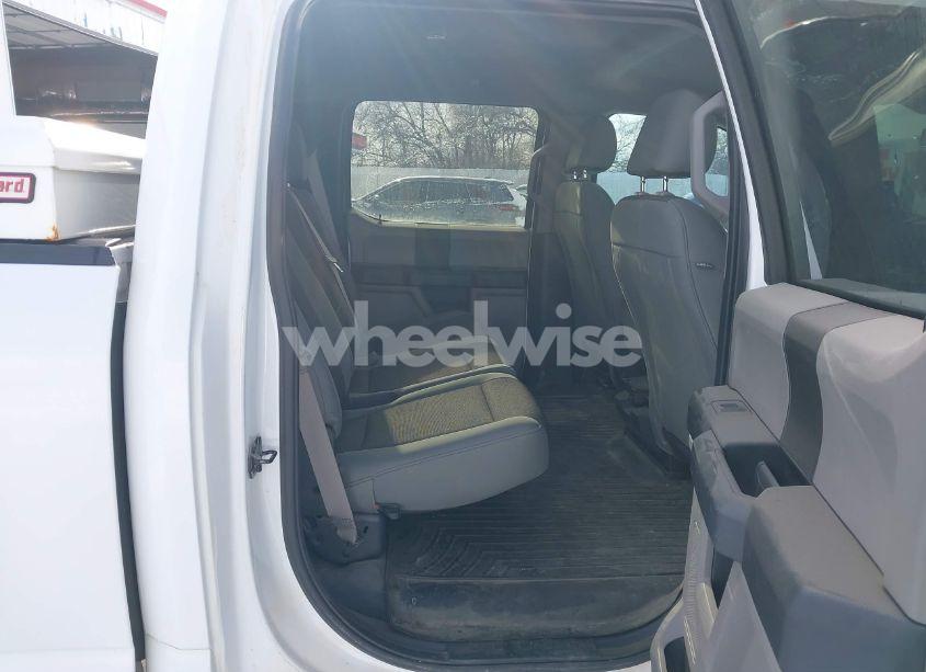 Photo 8 of 2019 Ford F-150 XL (VIN 1FTFW1E52KKD52023)