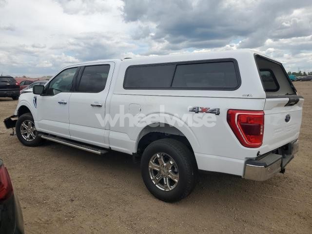 Photo 10 of 2023 FORD F150 SUPERCREW (VIN 1FTFW1E52PFA37996)