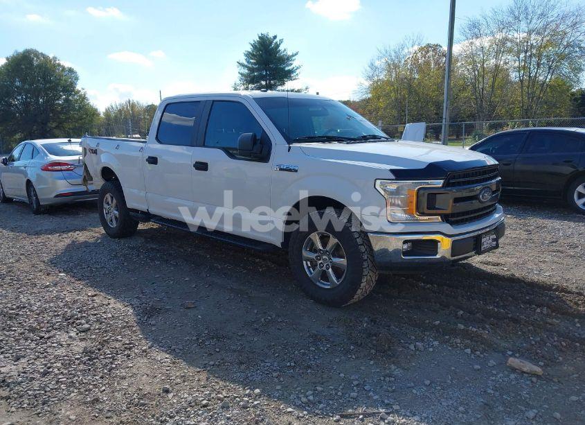 2019 Ford F-150 XL (VIN 1FTFW1E53KKC57986) main photo