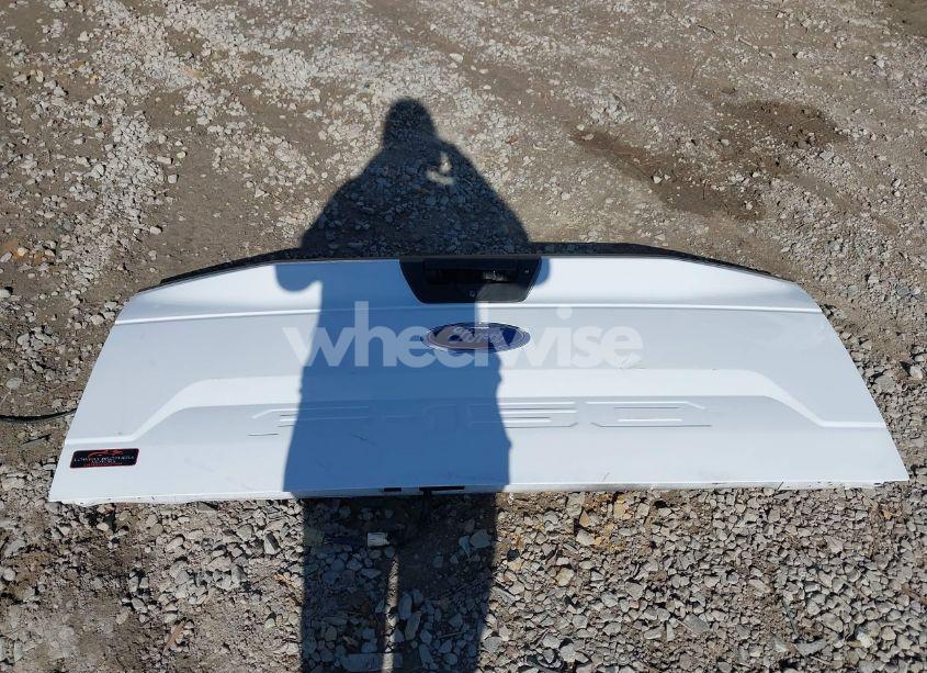 Photo 12 of 2019 Ford F-150 XL (VIN 1FTFW1E53KKC57986)