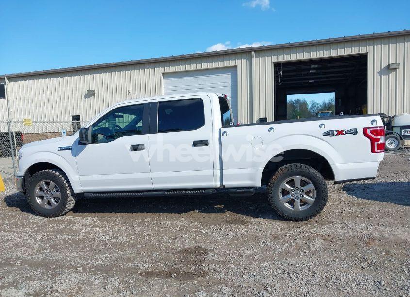 Photo 15 of 2019 Ford F-150 XL (VIN 1FTFW1E53KKC57986)