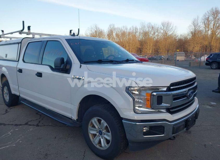 2020 Ford F-150 XLT (VIN 1FTFW1E53LKF18843) main photo